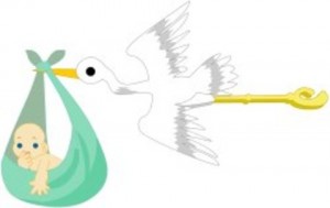 clipart0250