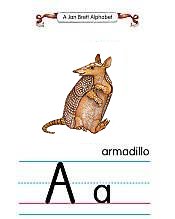 a-armadillo_75